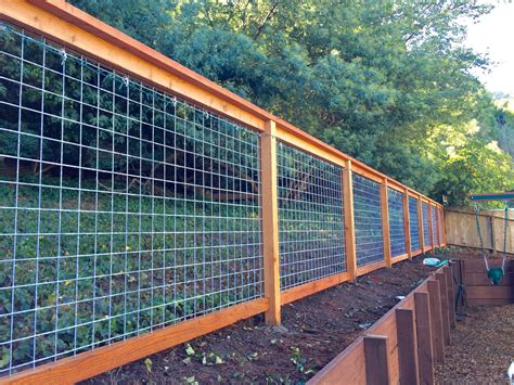 hog wire panel fence design - Jewel Ames