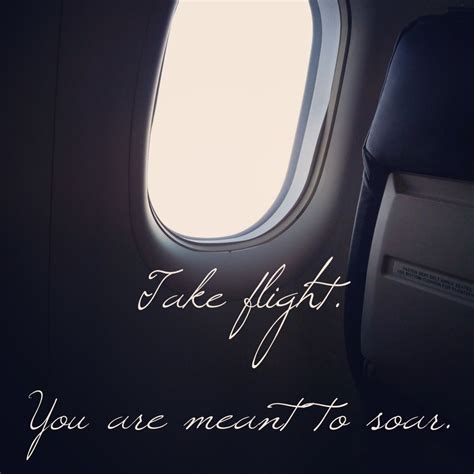 Funny Quotes About Airplanes - ShortQuotes.cc