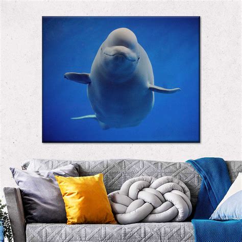 Smiling Beluga Whale Wall Art | Photography