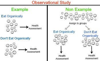 Identify the Observational Units in This Study - Carolina-has-Andrews