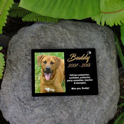 Pet Memorial Photo Plaque Personalised. Your Photo & Words. 5"x7 ...