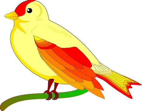 Free vector graphic: Parrot, Bird, Exotic, Yellow - Free Image on ...