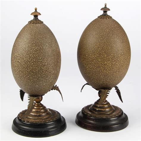 Fine, matching pair of Antique Cassowary Eggs on period Pedestals ...