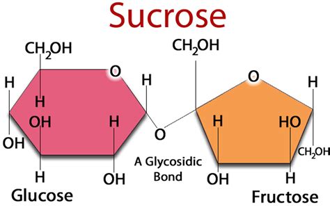 What is Fructose? Why is High Fructose Corn Syrup Bad?