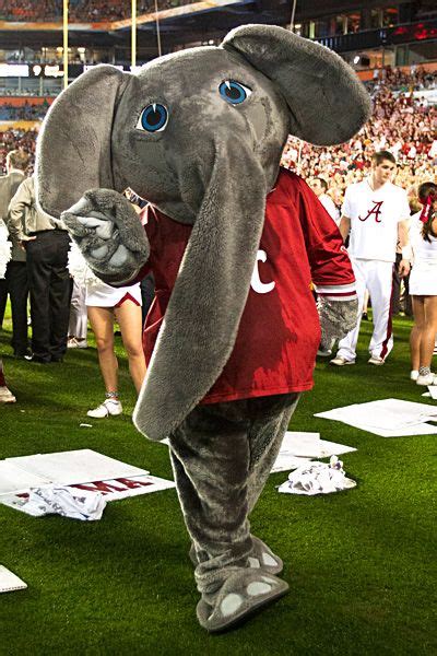 Wojciechowski: Hard to find fault with Alabama | Alabama crimson tide ...