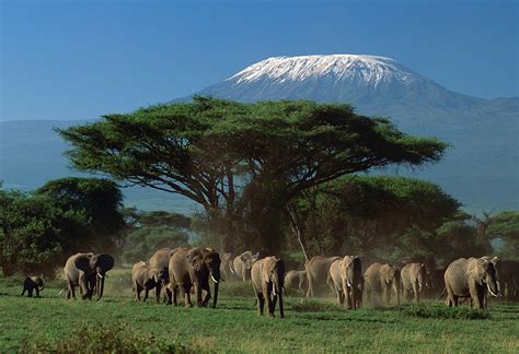 Arusha national park | tanzania national parks | tanzania tours