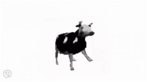 Meme Polish Cow GIF - Meme Polish Cow Мем - Discover & Share GIFs