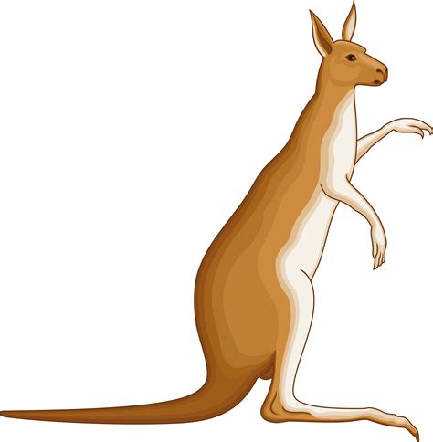 Kangaroo clipart mammal, Kangaroo mammal Transparent FREE for download ...