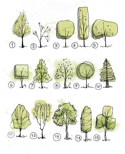 Trees 🌲🌳 @arch_grap • • • #sketch #archisketcher #arquitetapage # ...