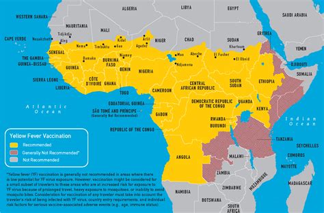 Could Yellow Fever Return to the United States? - Speaking of Medicine ...