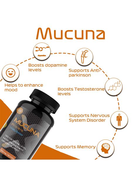 Mucana-Pruriens-Extract-Dopamine-supplement-Pre-Hormone