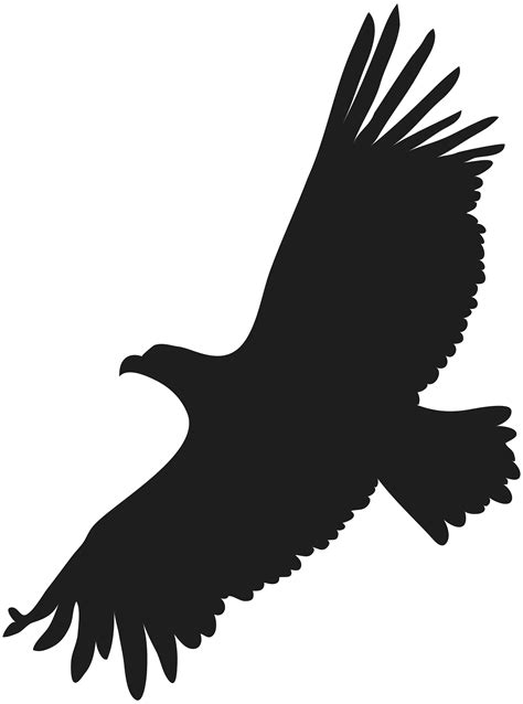 Eagles clipart bird australian, Eagles bird australian Transparent FREE ...