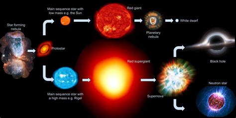 Star Life Cycle Diagram Cycle Star Life Diagram