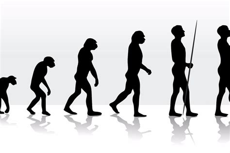 Genetic study finds evidence that we're still evolving