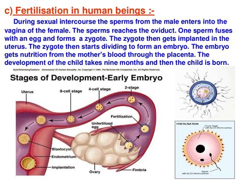 How do organisms reproduce.ppt