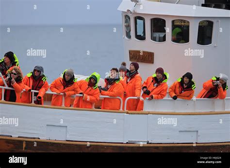 Whale watching boat Stock Photo - Alamy