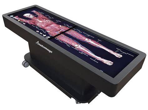 anatomage table Ms College, Interactive Anatomy, Biomedical Science ...