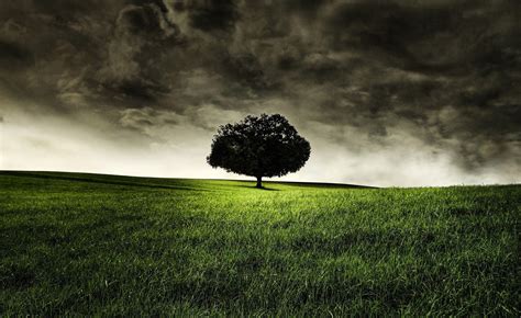 Dark Nature Wallpapers - Top Free Dark Nature Backgrounds - WallpaperAccess