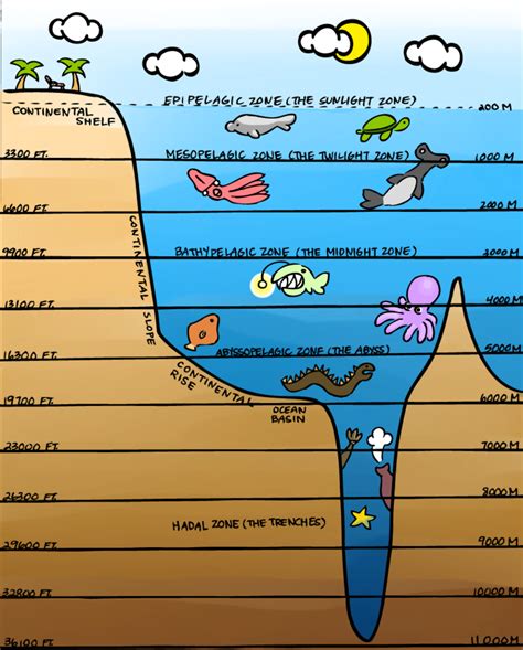 Layers of the Ocean Reference by thebrittanylee on deviantART | Layers ...