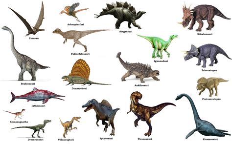 Swahili Land: Dinosau (Dinosaurs)