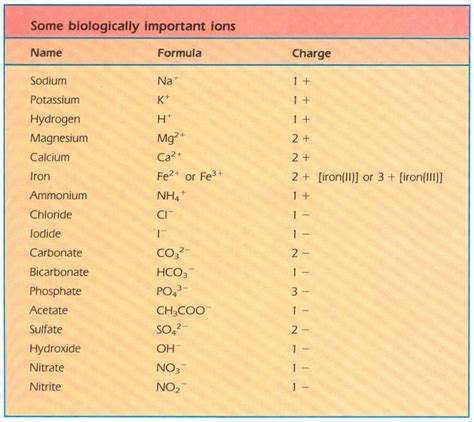 Biologically important ions | Kinesiology, Physiology, Biomechanics