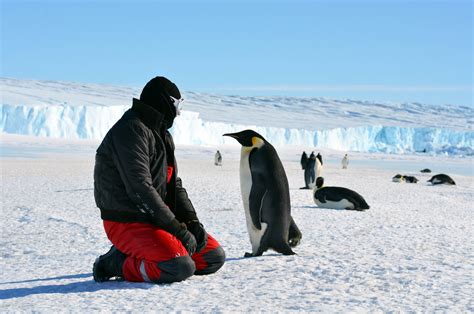 Antarctica Population What Is The Population Of Antarctica