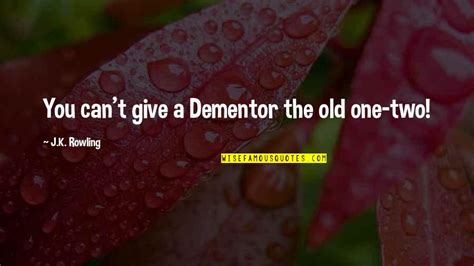 Harry Potter Dementor Quotes: top 12 famous quotes about Harry Potter ...