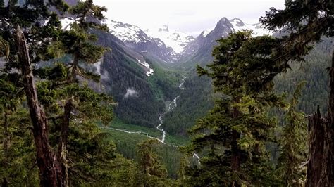 Washington’s Hoh Rain Forest: A beauty and a beast | king5.com