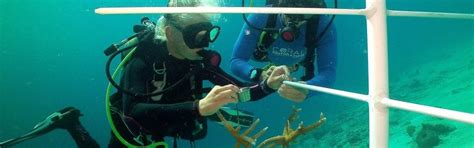 Eden Beach Resort Bonaire | Maduro Dive | Exclusive Scuba Diving Packages