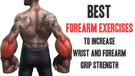 6 Best Forearm Exercises To Increase Wrist And Grip Strength