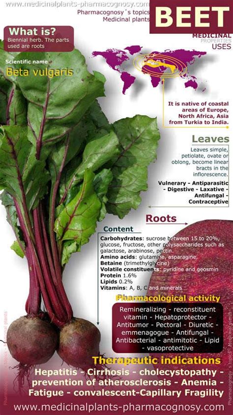 Benefits of Beetroot That Prove It Should Be A Crucial Part Of Your ...