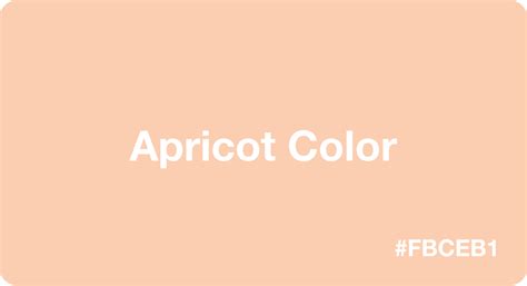 Apricot Color HEX Code: #fbceb1