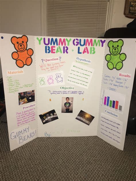 Gummy Bear Science experiment | Kindergarten science fair projects ...