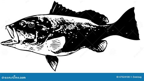 Red Grouper Vector Stock Illustrations – 97 Red Grouper Vector Stock ...