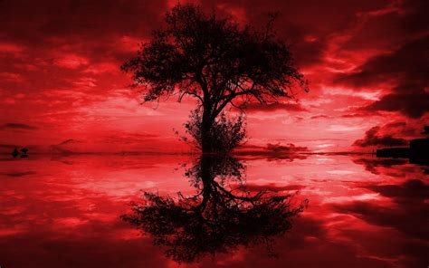 Red and Black Tree Wallpapers - Top Free Red and Black Tree Backgrounds ...