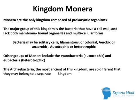 Kingdom monera