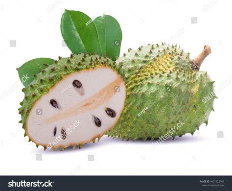 Guyabano Fruit Stock Photos and Pictures - 514 Images | Shutterstock