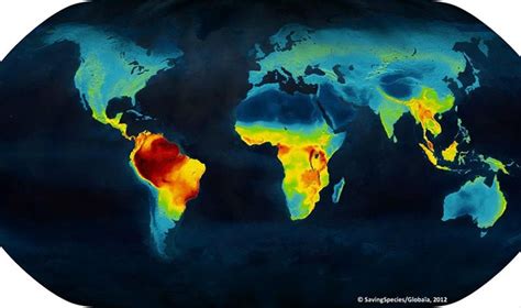 Biodiversity map of the World