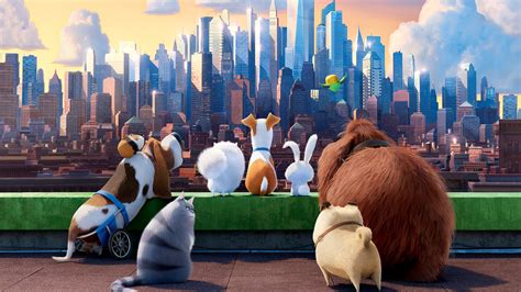 1364x768 resolution | Secret Life of Pets characters HD wallpaper ...