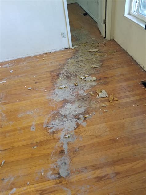 Repairing Termite Damage In Hardwood Floor | Viewfloor.co