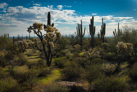 Arizona Desert Landscape Free Stock Photo - Public Domain Pictures