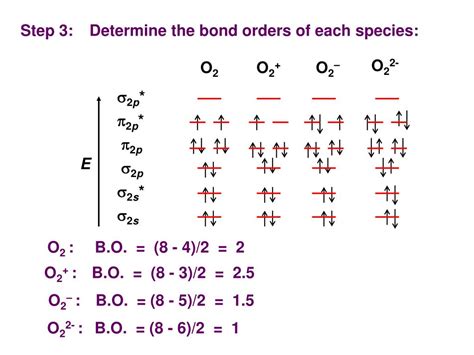 O2 Molecular Orbital Diagram