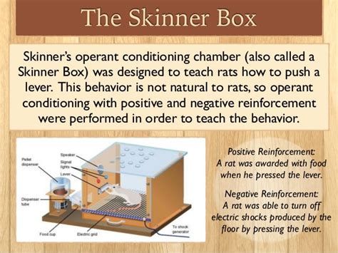 Consumer Behaviour & Experiential Marketing: Operant Conditioning and ...