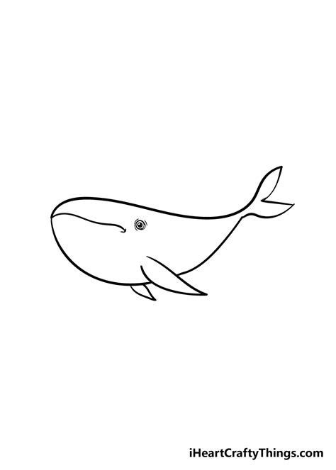 Whale Drawing - How To Draw A Whale Step By Step!