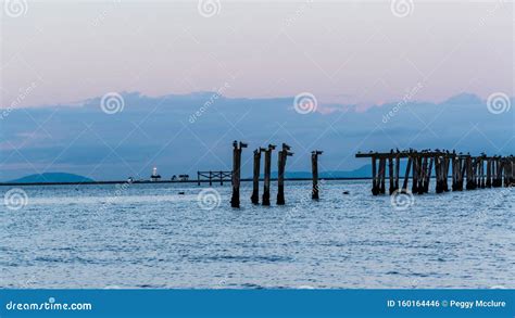 New Dungeness Lighthouse at Dusk Stock Photo - Image of beach, spit ...