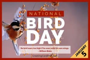 National Bird Day - Quotes, Captions, Fun Facts, FAQs, and More