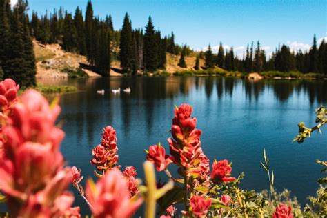 7 Best Things To Do in Park City, Utah Year Round | Eagle Creek