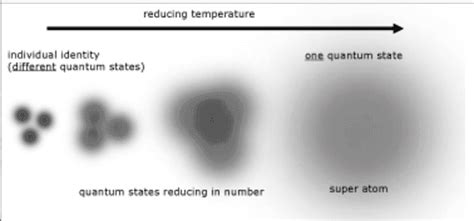 Bose-Einstein Condensate Properties