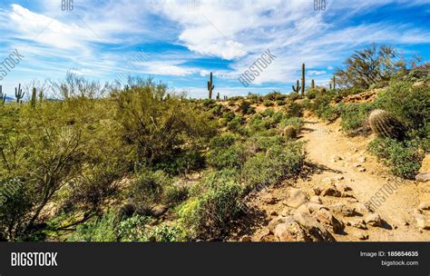 Semi Desert Landscape Image & Photo (Free Trial) | Bigstock