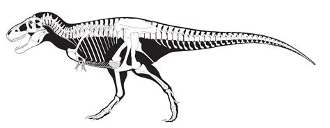 Smithsonian Welcomes “The Nation’s T. rex” to Washington, D.C ...